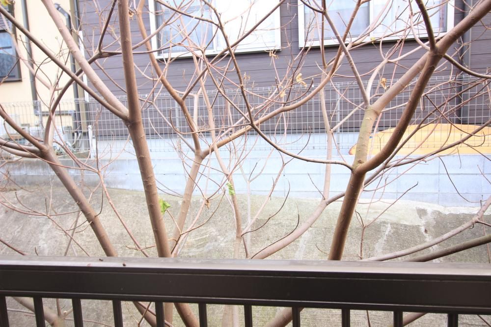 �y���]�z�@