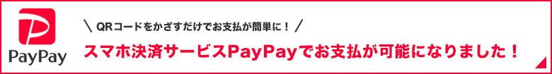 paypaygpł܂I